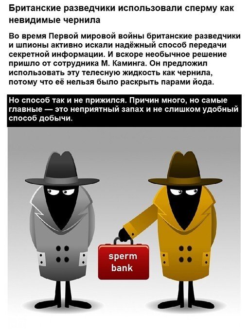 Смешные и познавательные картинки