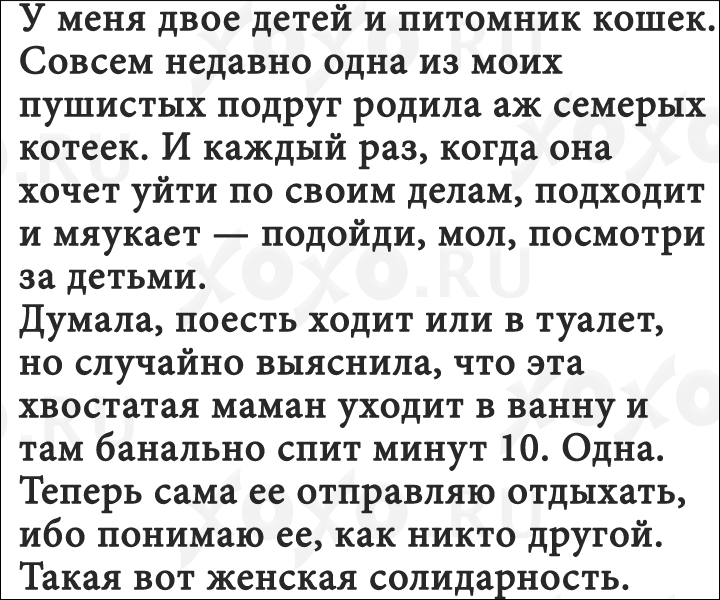 12-realnyx-istorij-ot-kotoryx-xochetsya-smeyatsya-ves-den_006