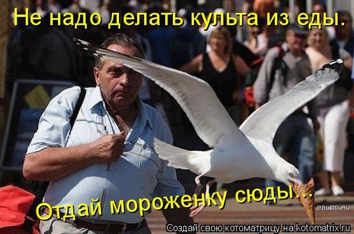 Мысли вслух :)
