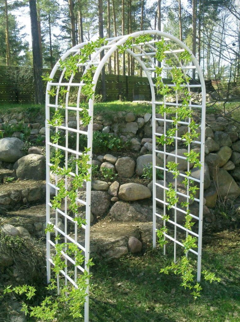 Садовая арка для клематисов