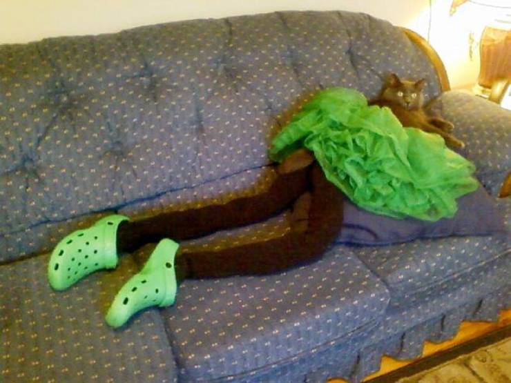 Подборка прикольных картинок Подборка прикольных картинок приколы,смешные картинки,юмор