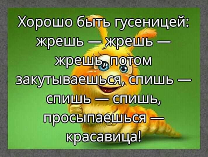 - Моя девушка взвешивалась на весах. После разочаровалась и ей пришла гениальная идея... чтобы, играть, будет, телеграмму, когда, живот, чтото, можно, Рабинович, школе, всегда, весах, Вместо, коров, ветеринар, интересно, собрания, невозвращенца, сделать, оргвыводы