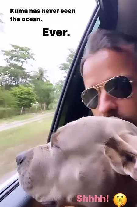 Джастин Теру устроил своему спасенному после урагана псу незабываемое путешествие Стиль жизни,Благотворительность