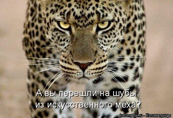 Мысли вслух :)