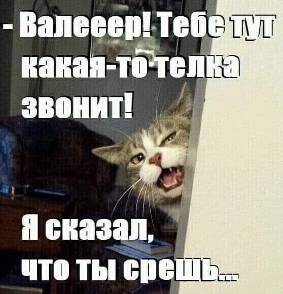 Нострадамус, конечно, предвидел, что и в следующей жизни он будет знаменит... Весёлые,прикольные и забавные фотки и картинки,А так же анекдоты и приятное общение