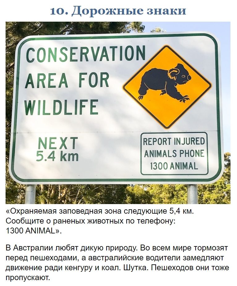 10 фото, доказывающих, что Австралия — это совершенно иной мир 10 фото, доказывающих, что Австралия — это совершенно иной мир