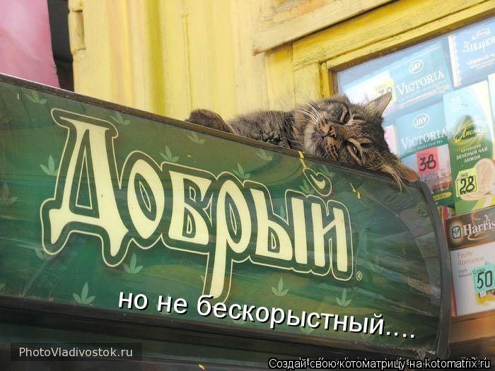 Мысли вслух :)