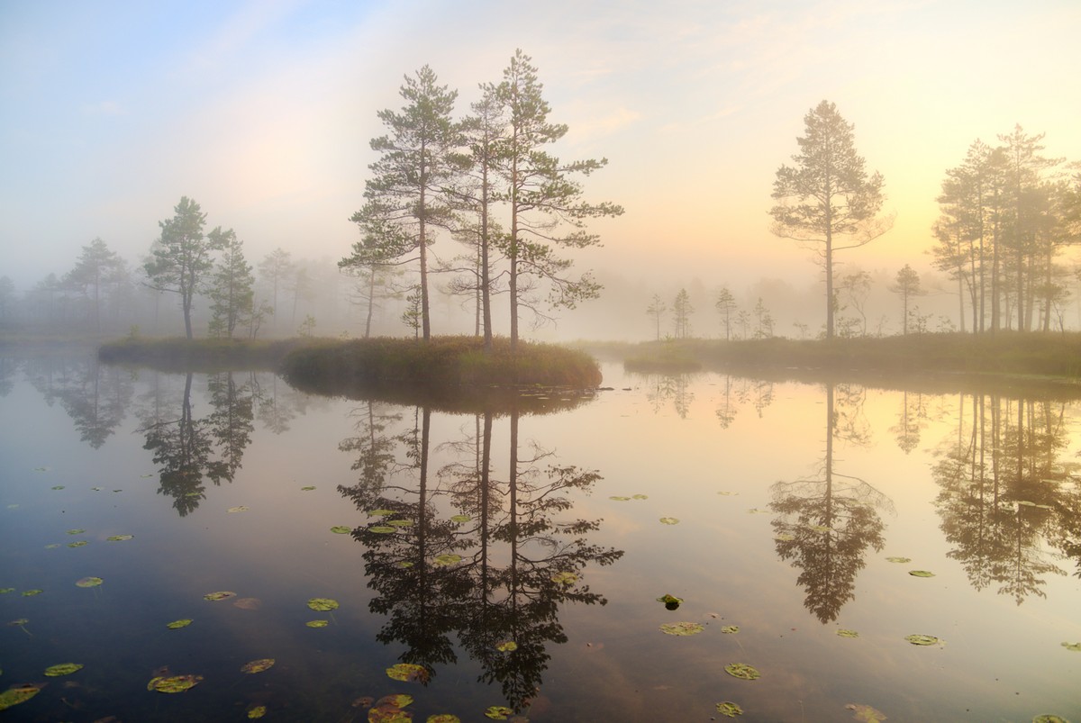 Удивительные снимки Эдуарда Гордеева фотографии, очень, удача, всего, Эдуард, пейзаж, фотограф, своей, привлекает, город, ваших, несколько, также, приходит, природы, много, техники, затем, упорство, нравится