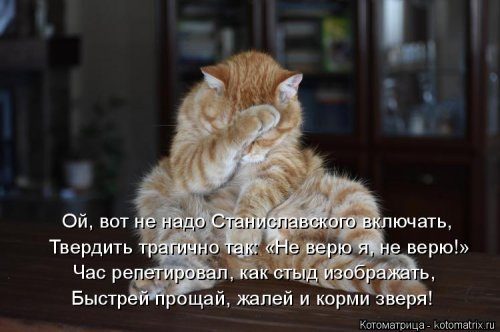 Самые прикольные котоматрицы за прошедшую неделю 