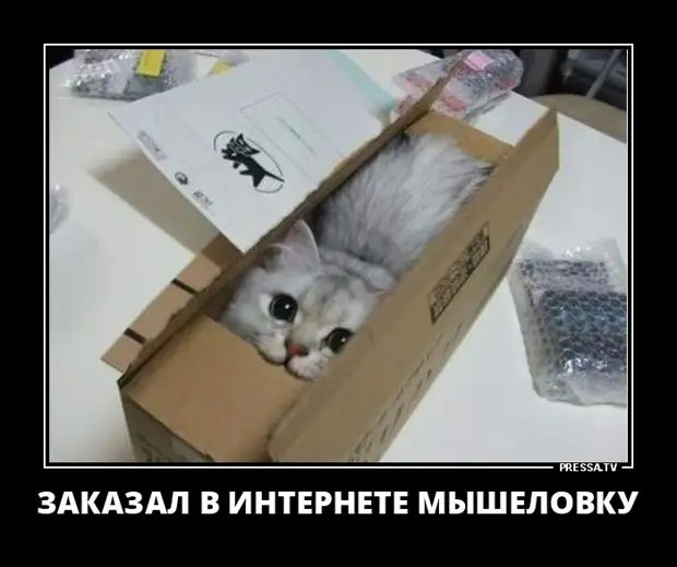 - Ребята, объясните, что такое утечка мозгов? - В твоем случае, Саша, это насморк... - Ребята, объясните, что такое утечка мозгов? - В твоем случае, Саша, это насморк... домой, чтобы, прямо, минут, работает, почему, теперь, грозно, Почему, только, сейчас, вечер, сказал, вечером, работы, застаю, постели, какимто, шведом, сказать