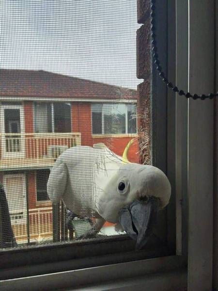 Подборка картинок. Дневной выпуск (56 фото)