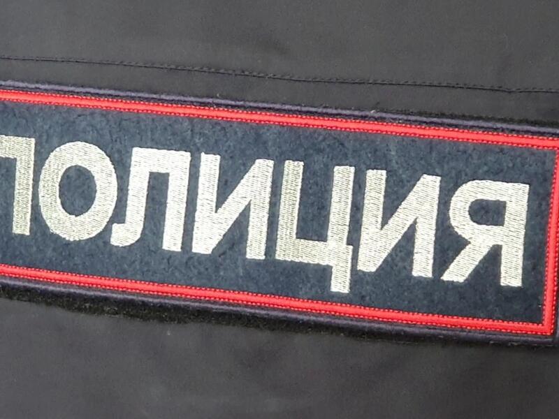 Детей, издевавшихся над котёнком, нашли