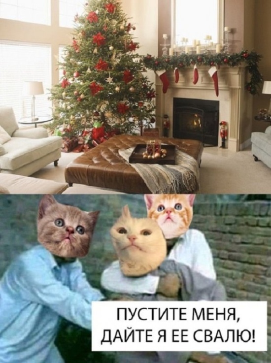 Шутки и и забавные картинки из социальных сетей Шутки и и забавные картинки из социальных сетей прикольные картинки