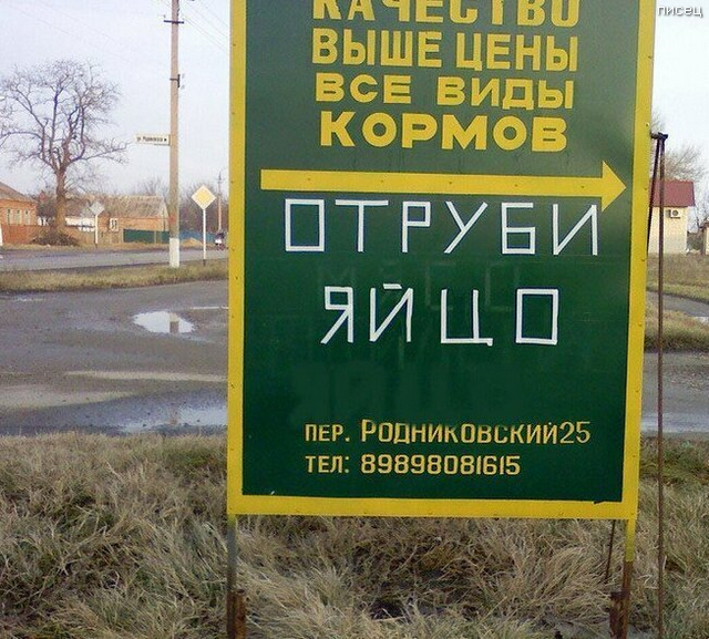 Что ни фото, то Хит! Отменный юмор! Что ни фото, то Хит! Отменный юмор! смешные картинки