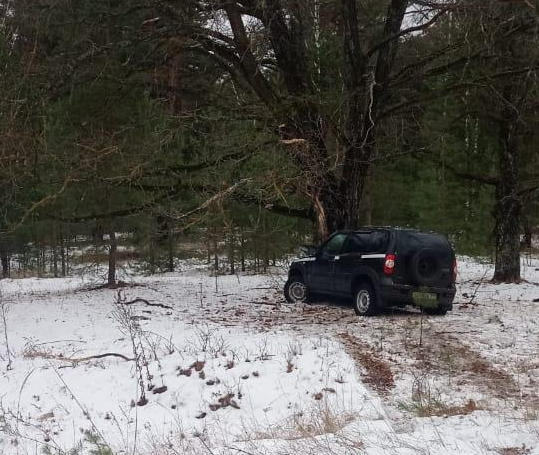 В Ряжском районе Chevrolet Niva врезалась в дерево, пострадали 2 человека