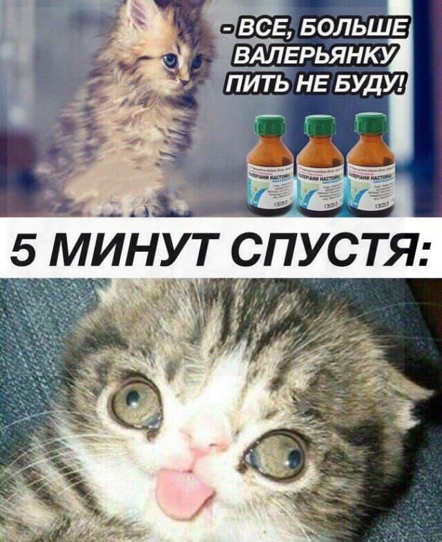 Классный юмор для отличного настроения