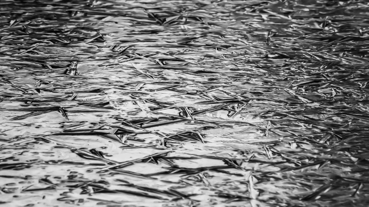 Москвичей предупредили о небольших осадках и гололедице 17 декабря