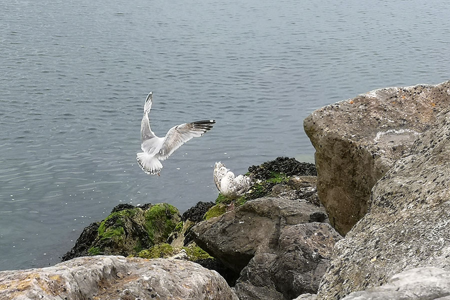 Ради чего стоит побывать в городке Баббакомб  авиатур