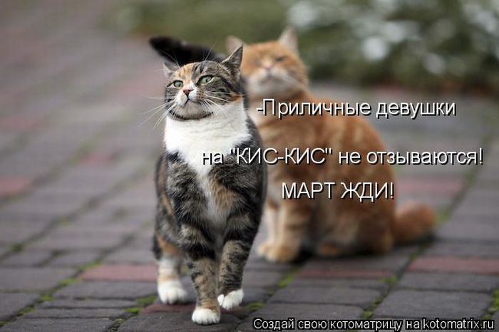 Мысли вслух :)