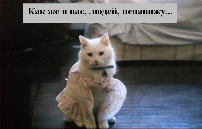 Котоматрица. Мысли вслух :) Котоматрица. Мысли вслух :)