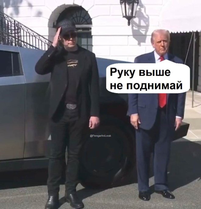 Смешные картинки с надписями и петрушка с кинзой Смешные картинки с надписями и петрушка с кинзой