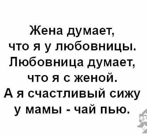 Собрание анекдотов и шуток для прекрасного настроения на весь день Собрание анекдотов и шуток для прекрасного настроения на весь день