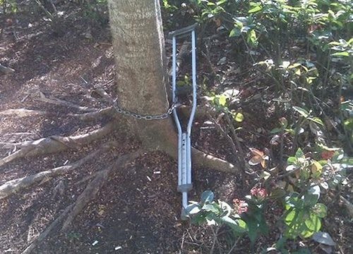 Что здесь происходит?! (24 фото)