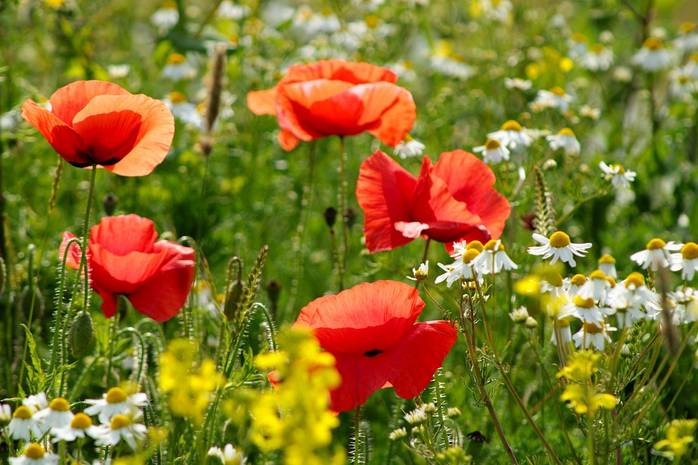 ÃÃÃÃÂÃÂÃÂÃÂ½ÃÂ¸ÃÂ ÃÃÂ²ÃÂÃÃÂÃÂ¼ÃÂ¸: ÃÂ½ÃÂÃÂ²ÃÂÃÃÂ¾ÃÃÃÂ½ÃÃÂ ÃÂ´ÃÂ¸ÃÂÃÂ³ÃÂ½ÃÂ¾ÃÃ, ÃÂºÃÂ¾ÃÃÂ¾ÃÃÃÂ ÃÂ¸ÃÃÂÃÂÃÃÂ¸ÃÂ²ÃÂÃÂÃ ÃÃÂÃÂ¾ÃÃÂ¾ÃÃÂÃÃÂÃÂ¿ÃÂ¸Ã