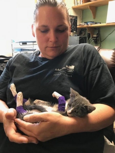 Двухмесячную кошечку с раненными лапками обнимали все в заповеднике – и это помогло ей окрепнуть!