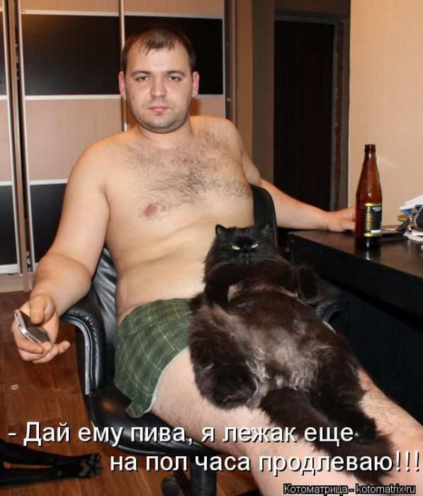 Кошарики :) Кошарики :)