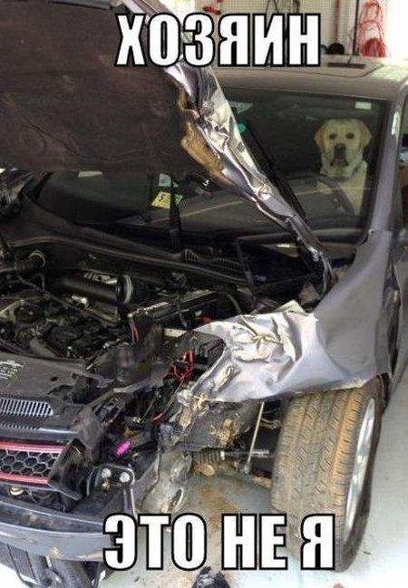 Подборка автомобильных приколов Подборка автомобильных приколов смешные картинки