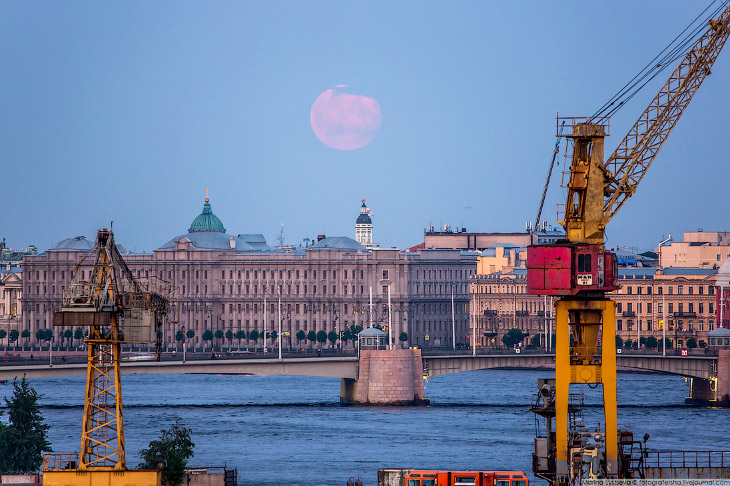 Лунное затмение в Санкт-Петербурге