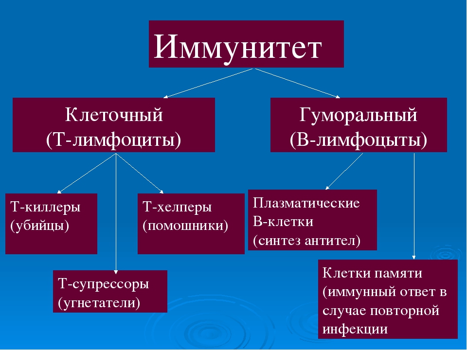 Гуморальный это. Типы иммунитета клеточный и гуморальный. Виды иммунитета схема гуморальный и клеточный. Клетки гуморального имм. Клеточный и гуморальный иммунитет таблица.