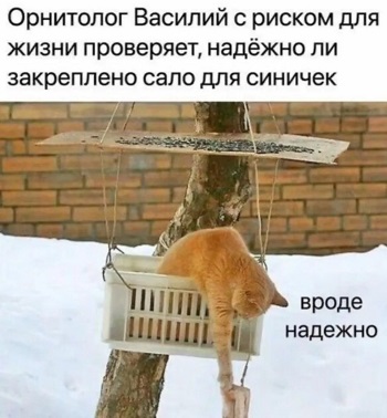 Сексуальная жизнь котэ... этого, Гарика, Гарик, потом, кастрированным, через, балкона, дороге, сексуальной, истерика, демон, кошку, жизни, стало, первым, сделал, утром, навстречу, счастью, половой