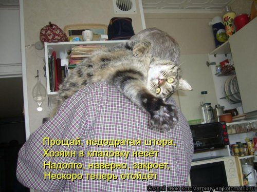 Самые смешные котоматрицы за прошедшую неделю Самые смешные котоматрицы за прошедшую неделю