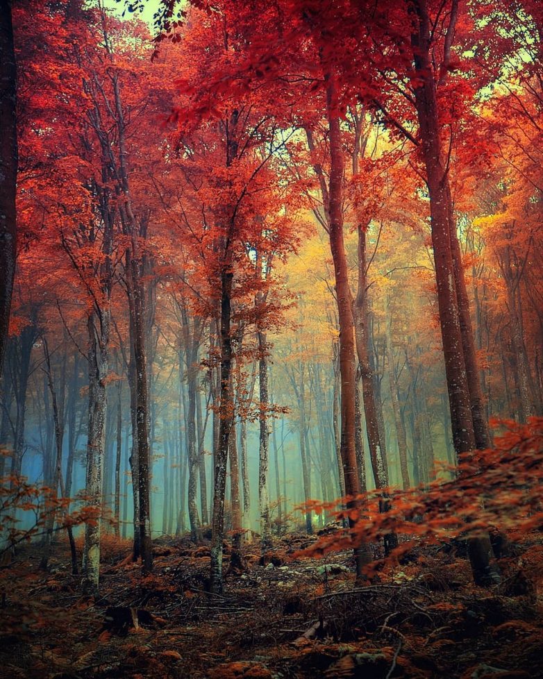 Потрясающие снимки из разных уголков нашей замечательной планеты Потрясающие снимки из разных уголков нашей замечательной планеты