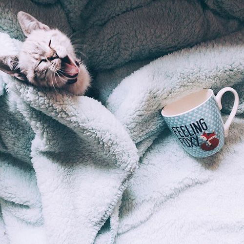 Позитивные картинки и веселые фото из сети Позитивные картинки и веселые фото из сети