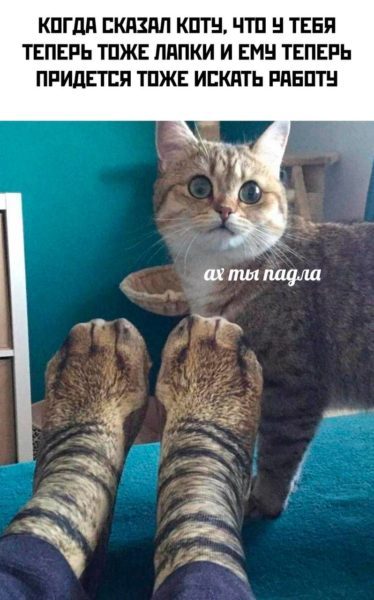 Самые лучшие клевые картинки Самые лучшие клевые картинки