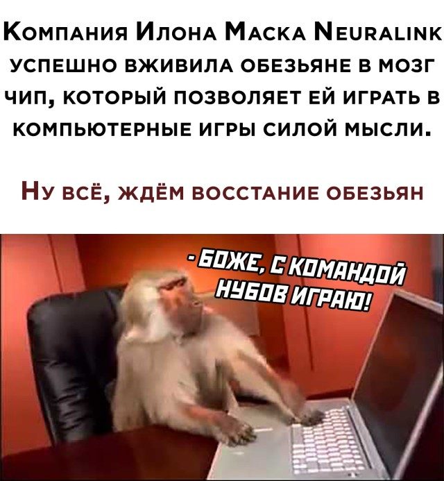 Смехопанорама. Высший класс! смешные картинки,фото-приколы,юмор