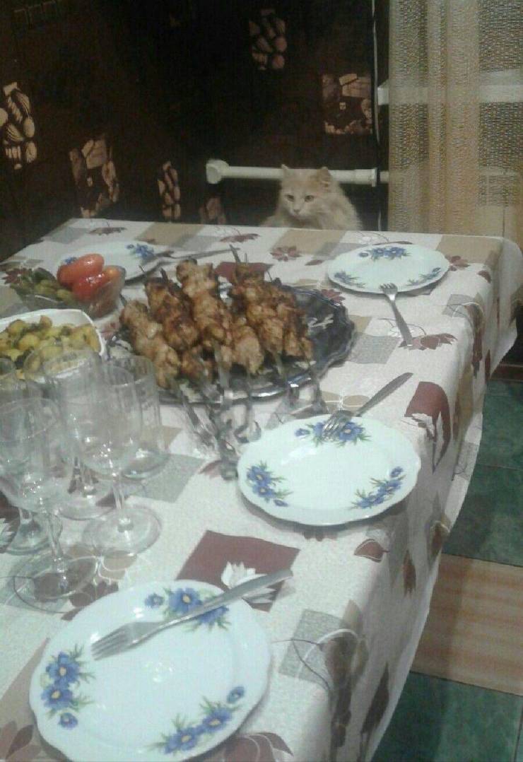 Подборка прикольных картинок  приколы,смешные картинки,юмор