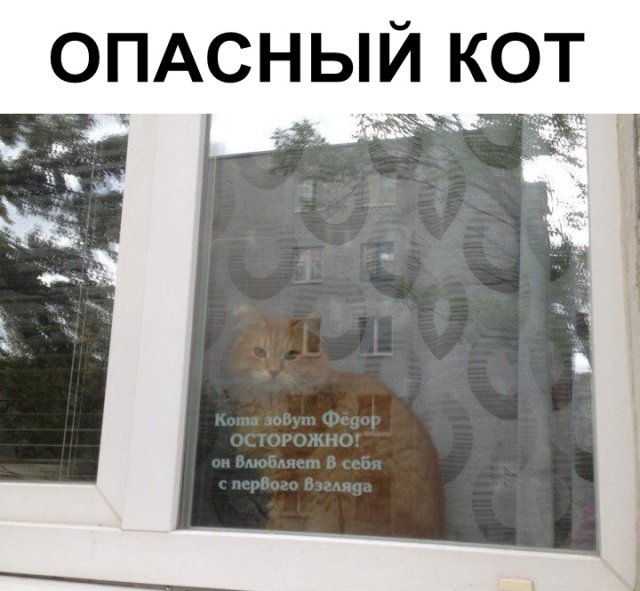 Фотоподборка недели Фотоподборка недели