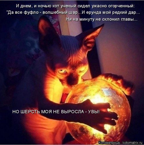 Самые прикольные котоматрицы за прошедшую неделю 