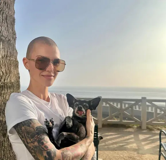 Кэти Перри ответила на обвинения Руби Роуз в сексуальных домогательствах Перри, после, адрес, актриса, сезона, этого, обвинения, которые, экстремистской, сексуальных, певица, сетях, социальных, заявление, организацией, Оранжевый, домогательствах, стало, Блумом, отношениях