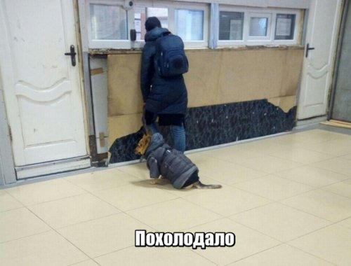 Подходи, налетай, фото-приколы разбирай! 