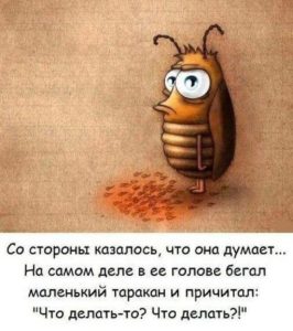 17 чётких анекдотов в картинках для отличного настроения 17 чётких анекдотов в картинках для отличного настроения