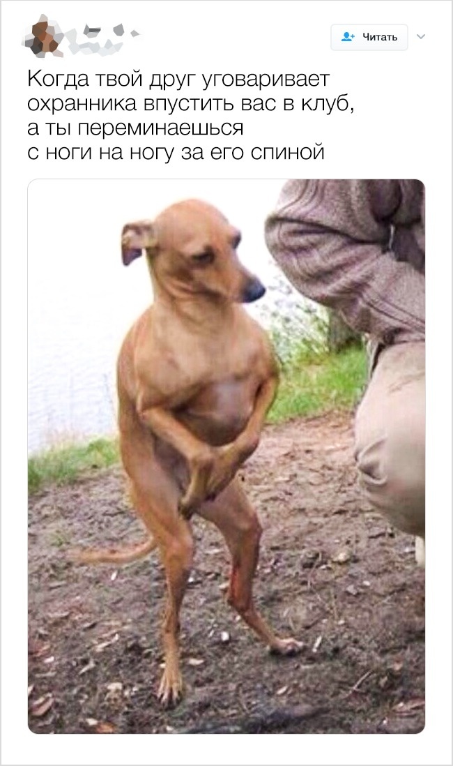 19 твитов о последствиях пятничных вечеринок, которые все равно никого не останавливают 19 твитов о последствиях пятничных вечеринок, которые все равно никого не останавливают