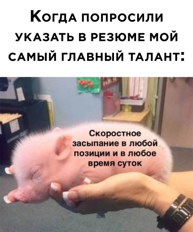 Подборка прикольных картинок 