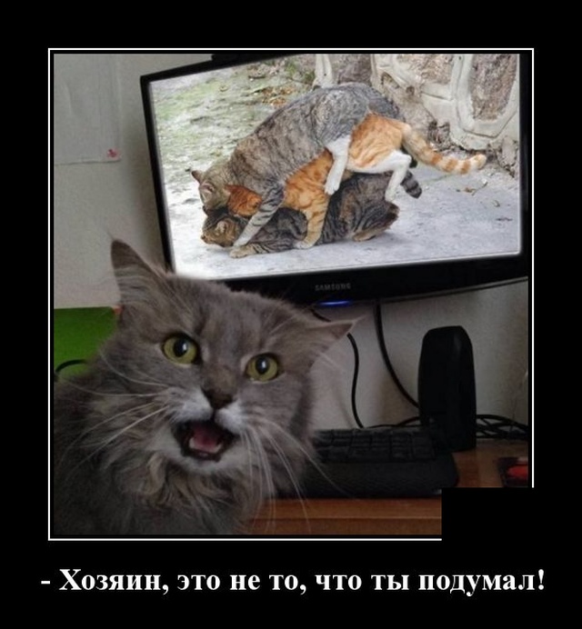 Прикольные и смешные демотиваторы из сети для веселья Прикольные и смешные демотиваторы из сети для веселья демотиваторы свежие,приколы,смешные демотиваторы,юмор