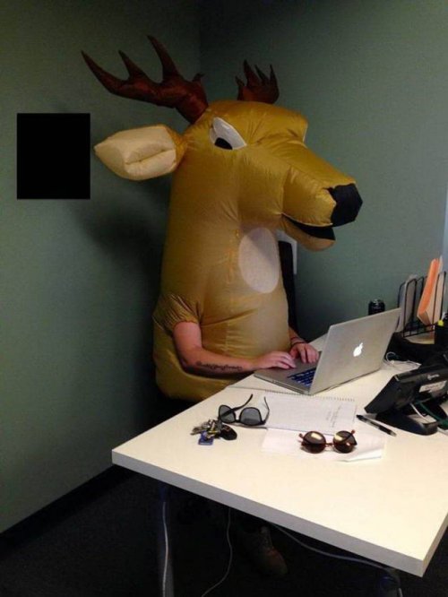 Что здесь происходит?! Что здесь происходит?!