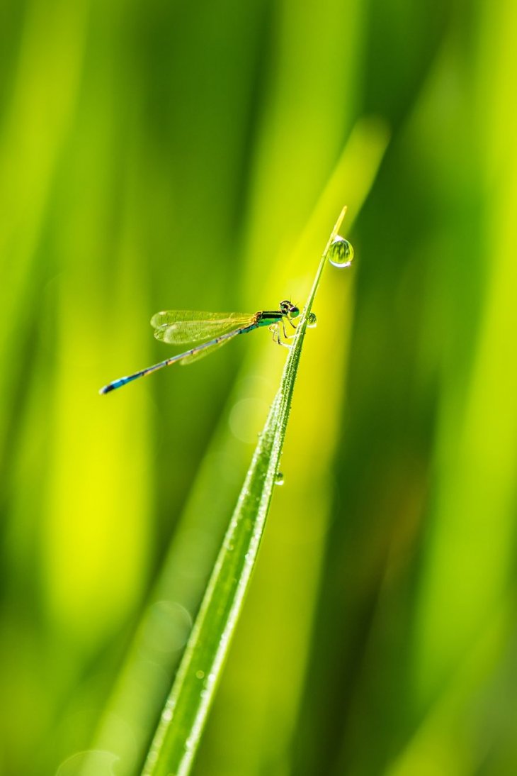 Потрясающие фотографии с конкурса # Water2019 интересное,конкурс,фотография